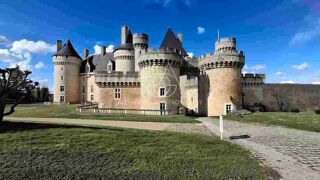  Propriété/château à vendre 15 + pièces 2200 m²