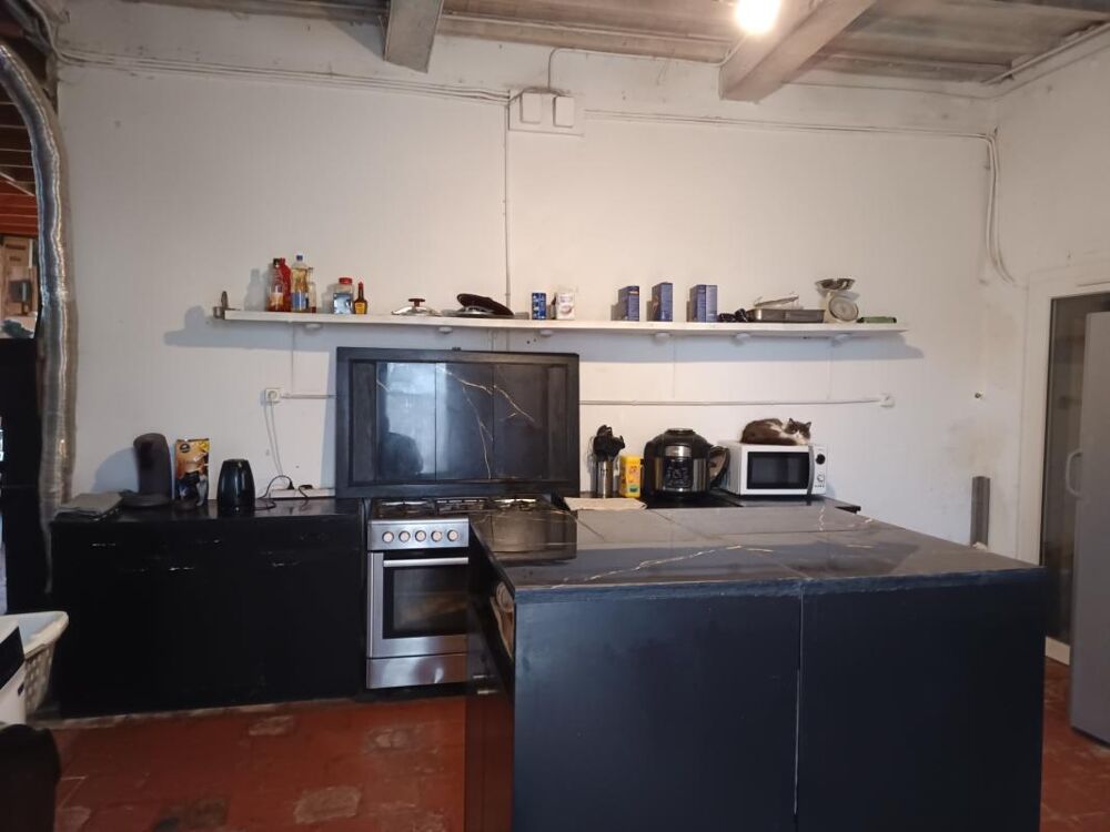Vente Maison ANCIEN CORPS DE FERME SUR 13356 M² A DEUX PAS DU VILLAGE Viella
