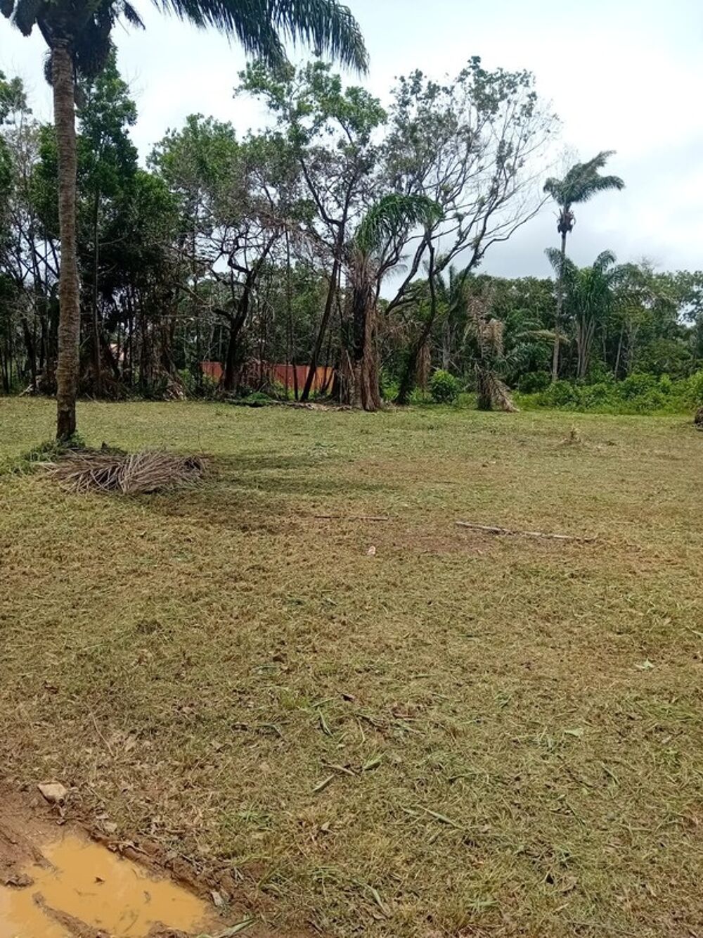 Vente Terrain Terrain constructible de 3000 m² à vendre à Sainte Agathe - MACOURIA (973) Macouria