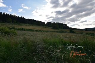  Terrain  vendre 911 m