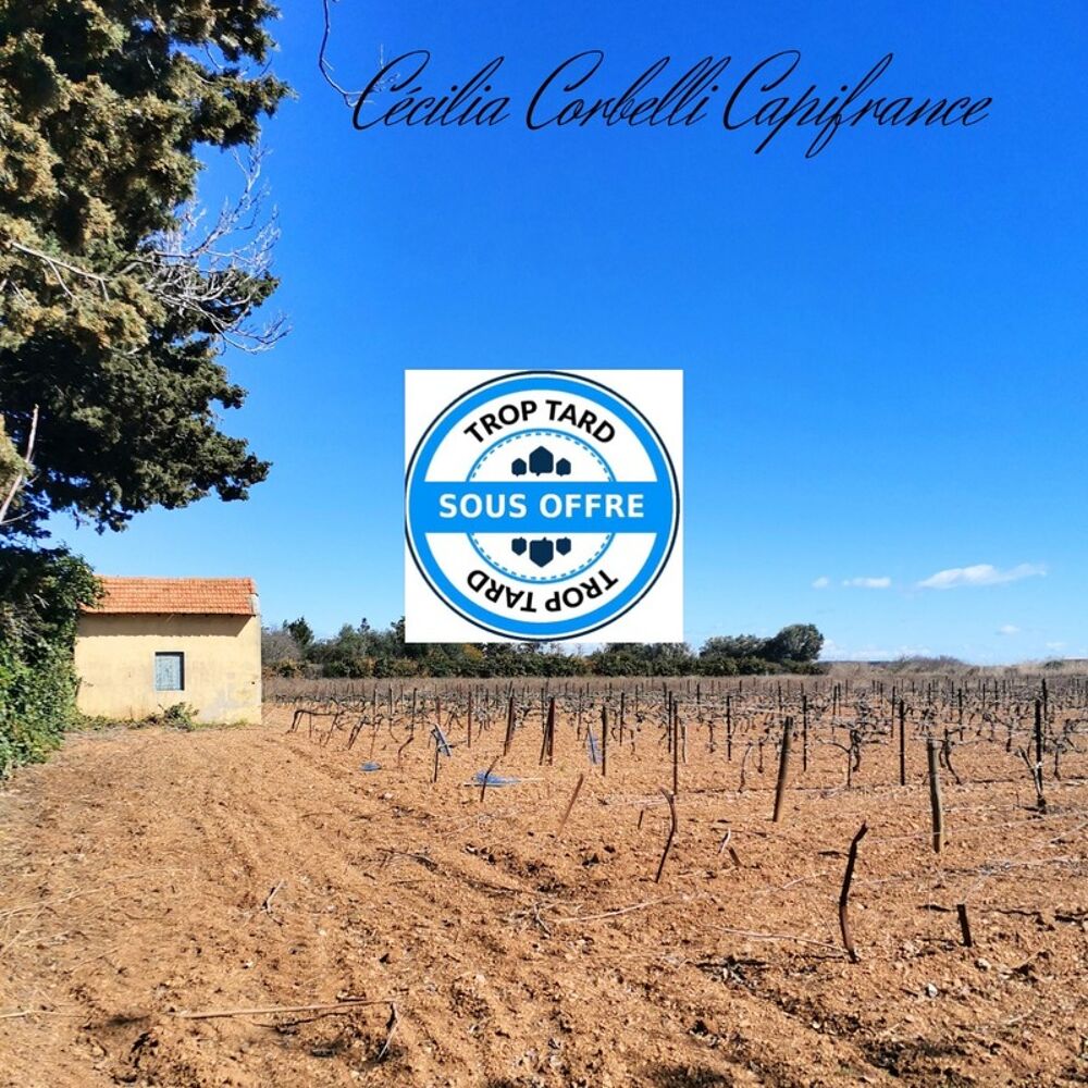 Vente Proprit/Chteau Dpt Hrault (34), terrain agricole d'environ 3000 m2 avec Mazet et parcelle viticole  Frontignan Frontignan