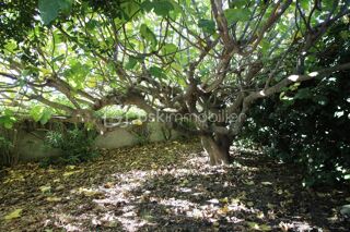  Maison � vendre 4 pi�ces 104 m�