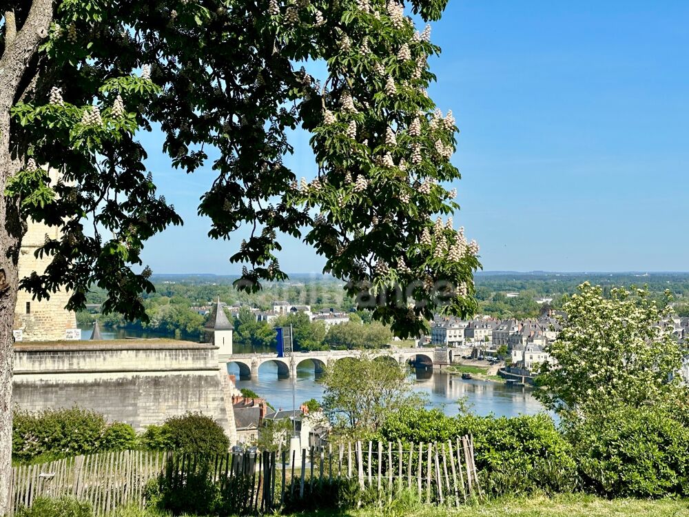 à vendre  Propriété/château Saumur (49400)