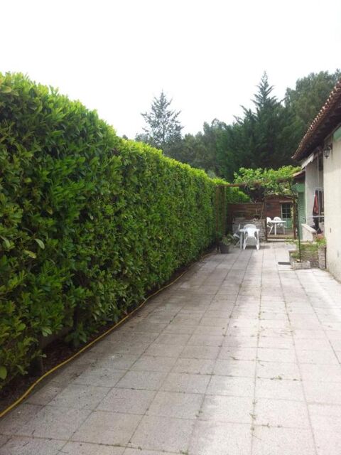  Maison � louer 5 pi�ces 110 m�