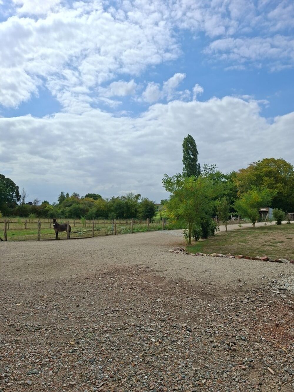 Vente Maison Maison Villa  Plain pied NEuve 2022 Basse Conso 164 m2 + Dépendance neuve 117m2 , Parc Clos 5800m2 Ancinnes