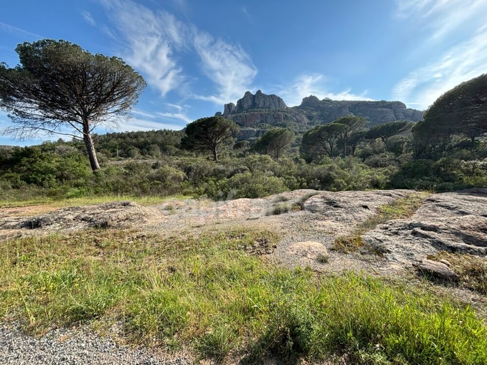 Vente Terrain Roquebrune sur Argens, terrain constructible de 5 hectares pouvant accueillir une proprit de 228 m2 !! Roquebrune sur argens