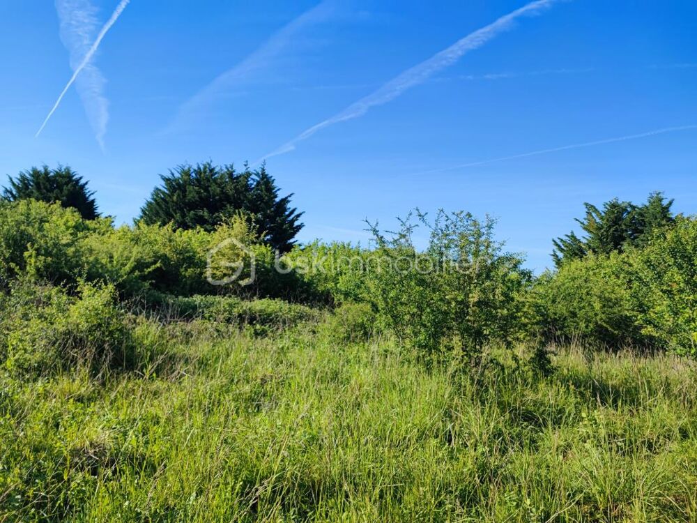 Vente Terrain Terrain de loisir et arbres fruitiers de 5088 m² avec une belle vue Voisines