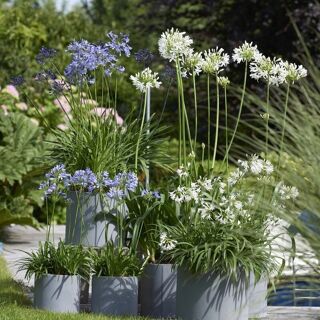  Maison � vendre 5 pi�ces 124 m�