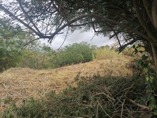  Terrain  vendre 786 m