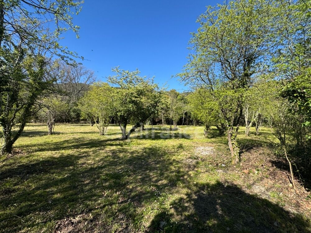 Vente Terrain Terrain constructible de 2 280 m² - SAINT HIPPOLYTE DU FORT (30) Saint hippolyte du fort