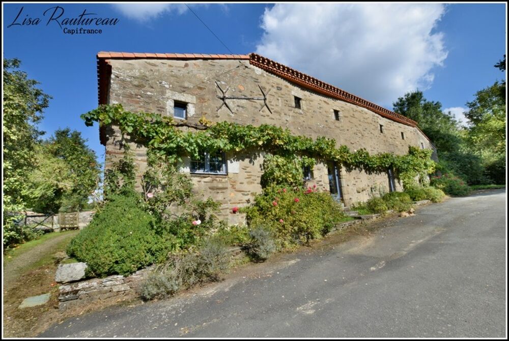 Domaine d'exception - CHAVAGNES EN PAILLERS (85) - 2 maisons d'habitations ainsi que 2 gîtes avec piscine