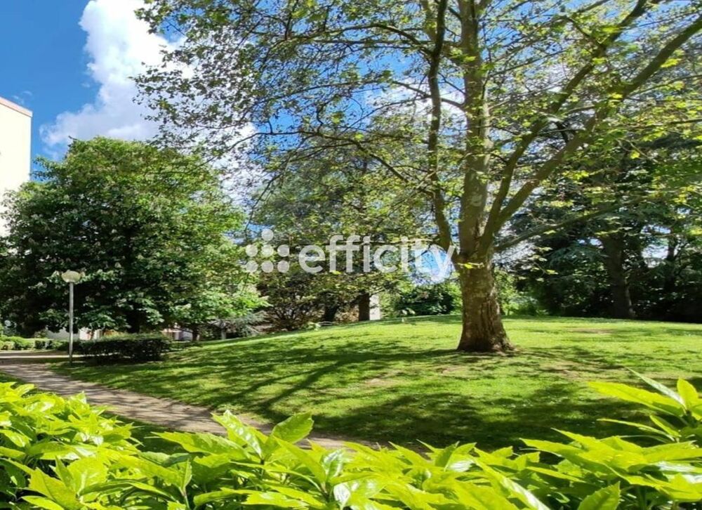 Vente Appartement Appartement Antony
