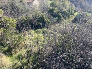  Terrain � vendre 283 m�