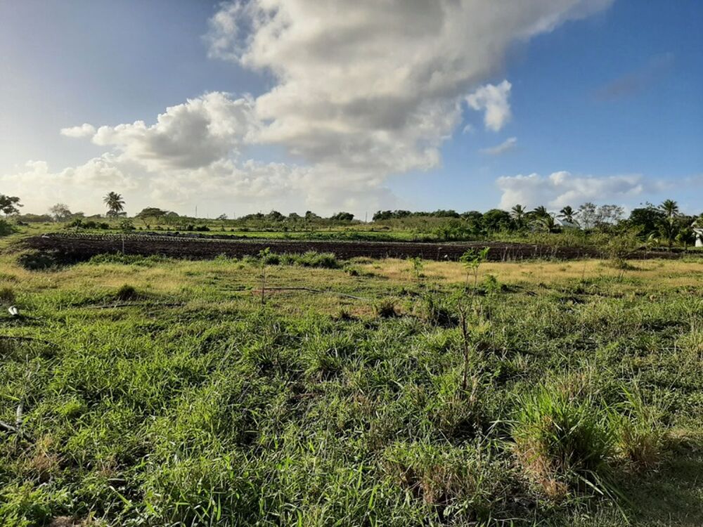 à vendre  Maison Saint-François (97118)