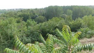 Maison 122m2 Availles-Thouarsais