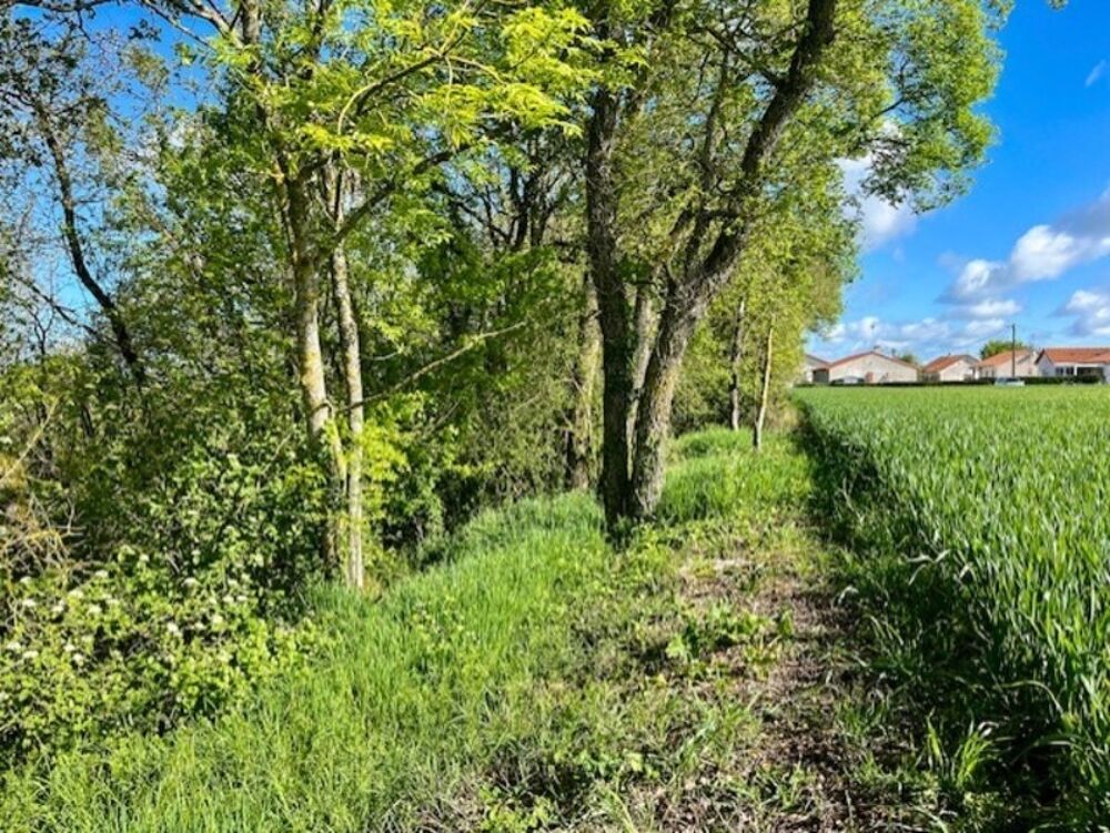 Vente Terrain Terrain à vendre de 1 500m² AVAILLES THOUARSAIS (79) Availles thouarsais