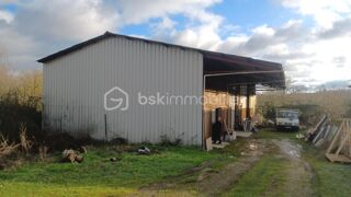  Immeuble � vendre 1 pi�ce 300 m�