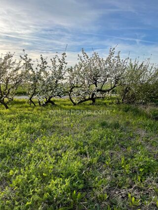  Terrain  vendre 653 m