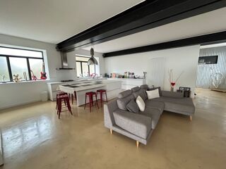  Loft  vendre 4 pices 173 m