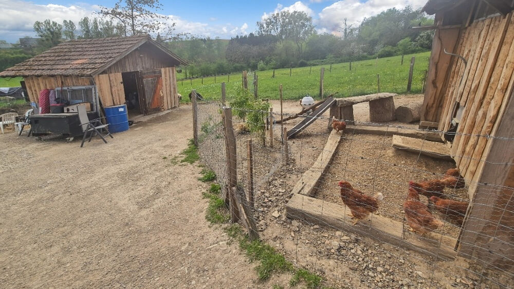 Vente Terrain Terrain agricole aménagé de 3 000 m² ? Chalets, puits et enclos ? Idéal apiculture, verger ou petit élevage Soultz sous forets