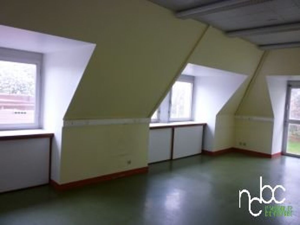   bureaux/activité Nuits saint georges