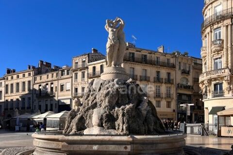   Cave 22 m² - MONTPELLIER CENTRE 