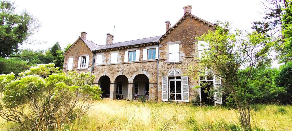 Vente Propriété/Château Château à vendre - Aile de château d'exception sur la commune de Parigné – 457 m² – 2 hectares de terrain Parigne