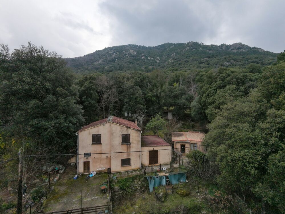 Vente Propriété/Château Propriete à vendre 7 pièces CORTE (20) Corte
