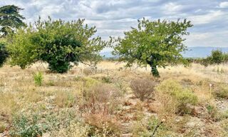  Terrain à vendre 981 m²