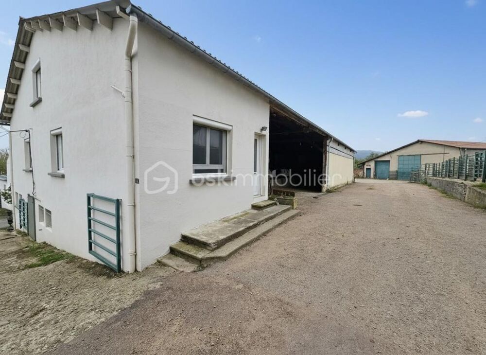  vendre  Proprit/chteau Parigny (42120)