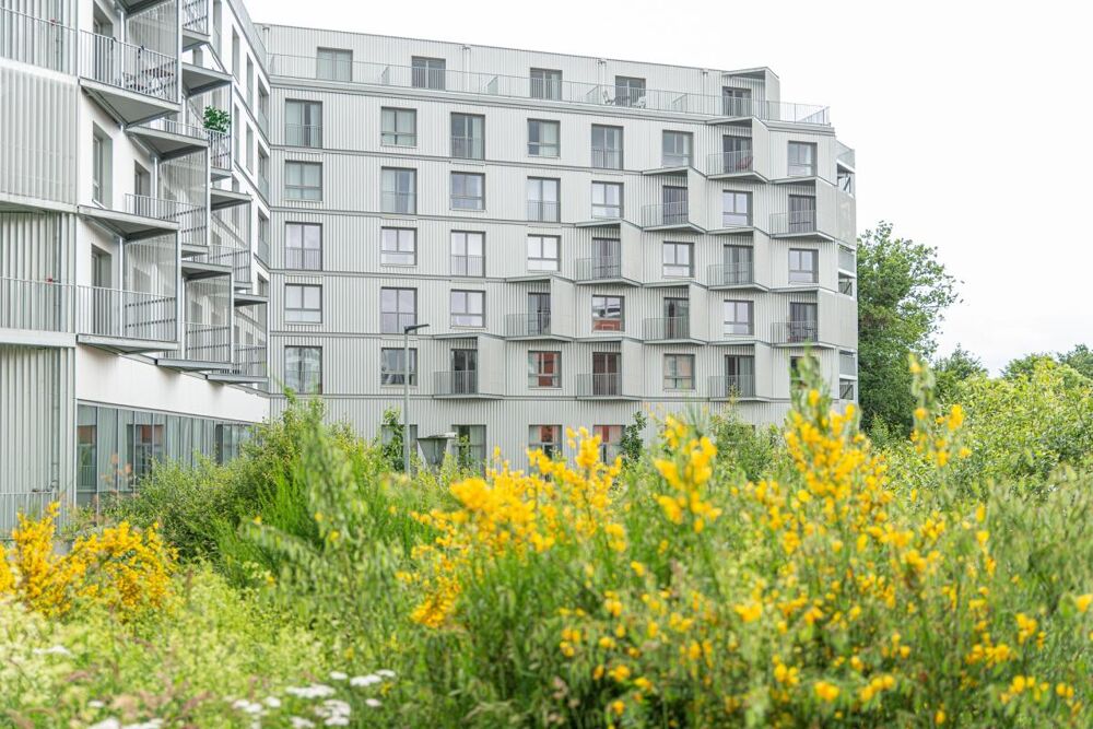 Spécial Investisseur Studio 17,90m²