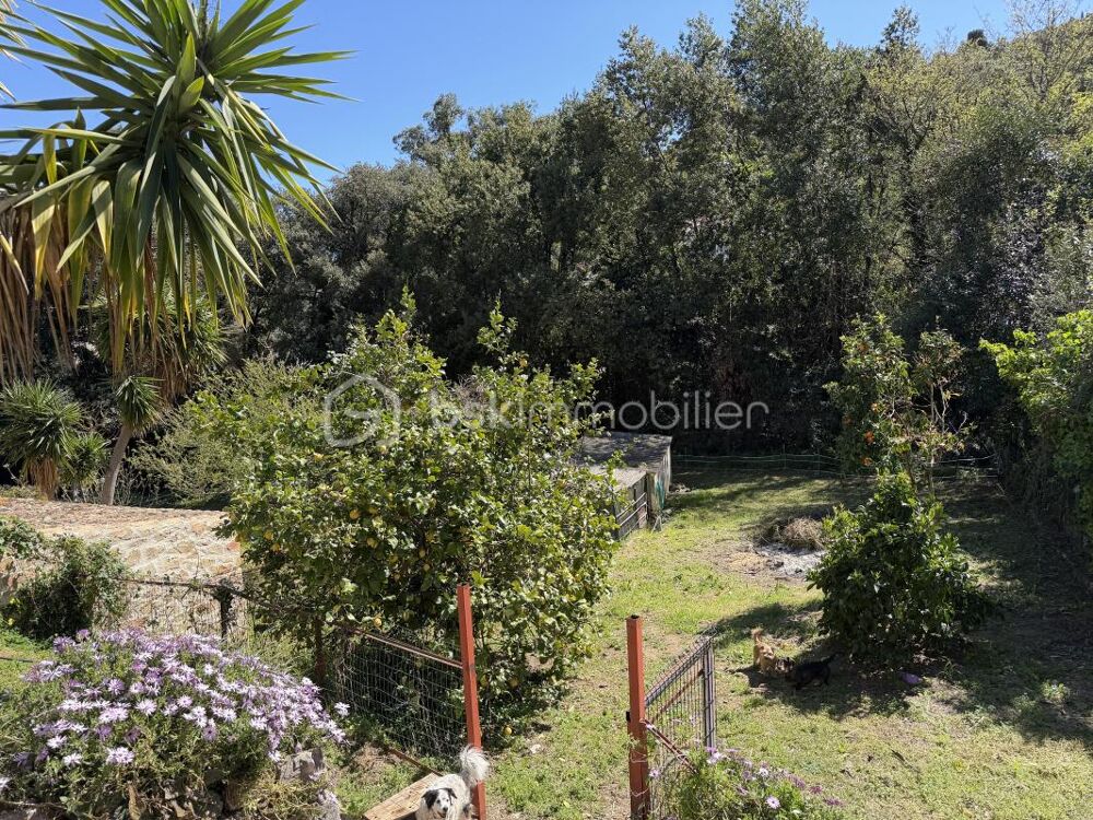 Vente Maison Maison provençale avec Piscine sur terrain de 1460 m2 – Cavalaire-sur-Mer (Golfe de Saint-Tropez) Cavalaire sur mer