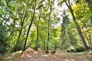  Propri�t�/ch�teau � vendre 15 + pi�ces 545 m�