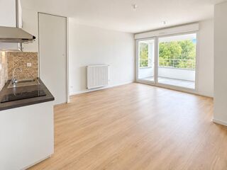  Appartement à louer 2 pièces 45 m²