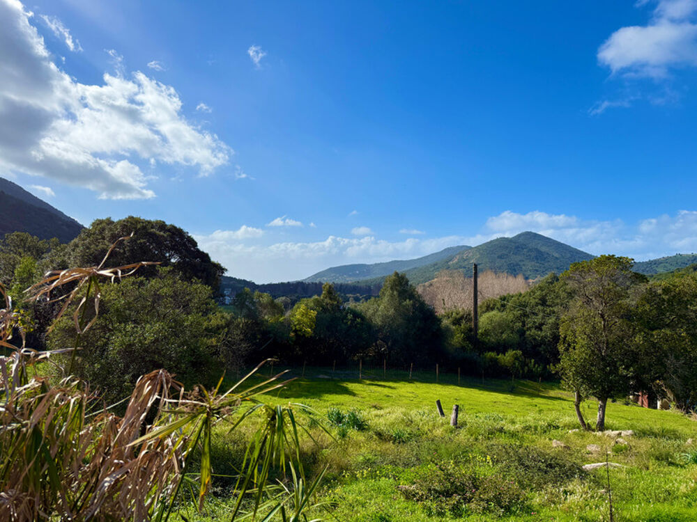 Vente Propriété/Château SAGONE (Corse) : Propriete à vendre, maison T4 + dépendance avec 2 appartements T1, sur terrain plat de 5000m2 Sagone