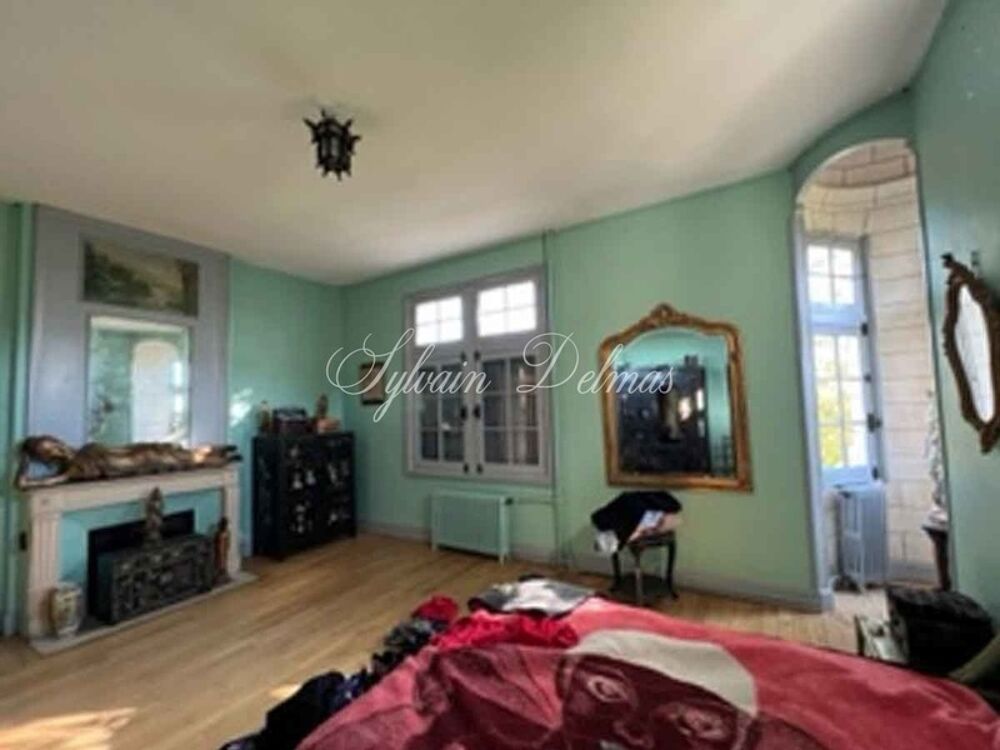 � vendre  Propri�t�/ch�teau Amboise (37400)