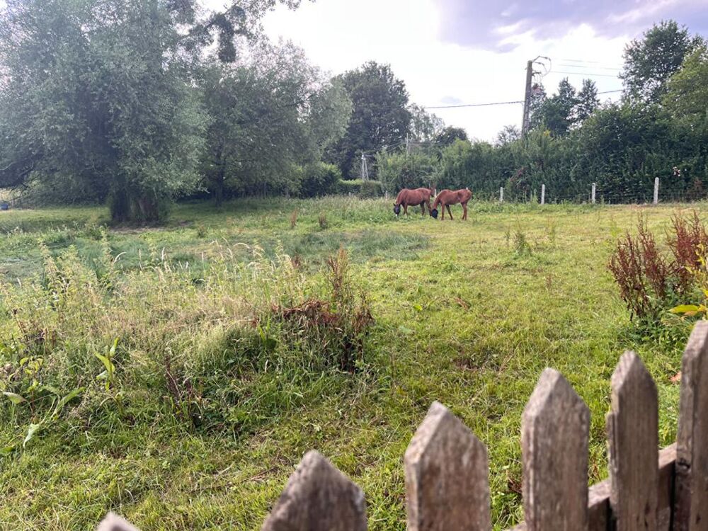 Vente Terrain SEGRIE FONTAINE TERRAIN D'ENVIRON 1300 m² Athis val de rouvre