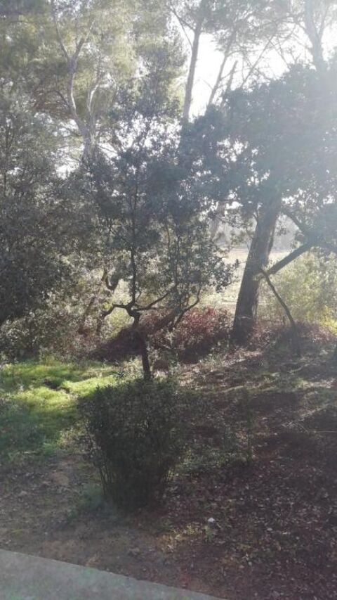  Maison � louer 2 pi�ces 63 m�