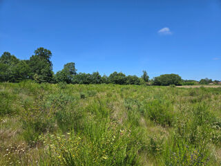  Terrain à vendre 898900 m²