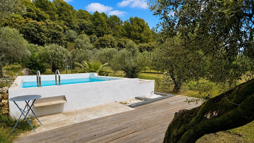 Propriété de charme sur 5 000 m² zone UB + cabanon