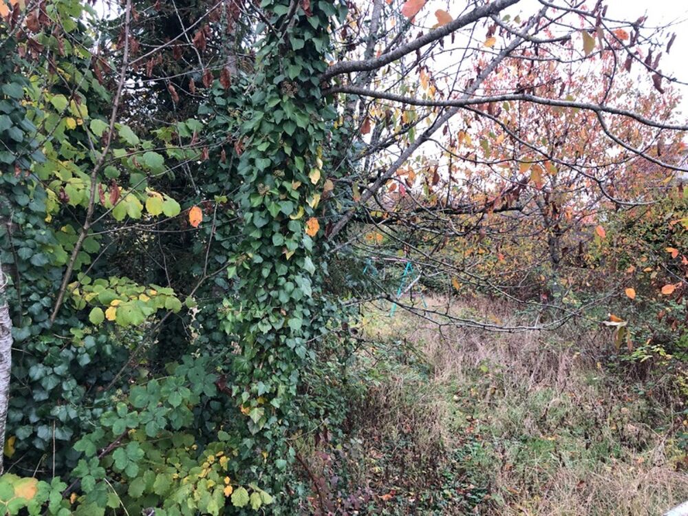 Vente Terrain 900 m²