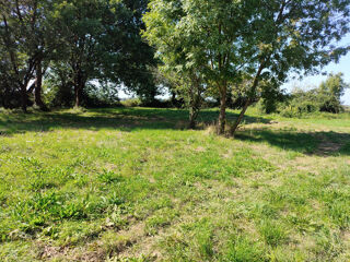  Terrain � vendre 1161 m�