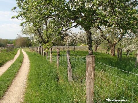 Dpt Jura (39), à vendre CRAMANS terrain constructible 1900 m2 60000 Cramans (39600)