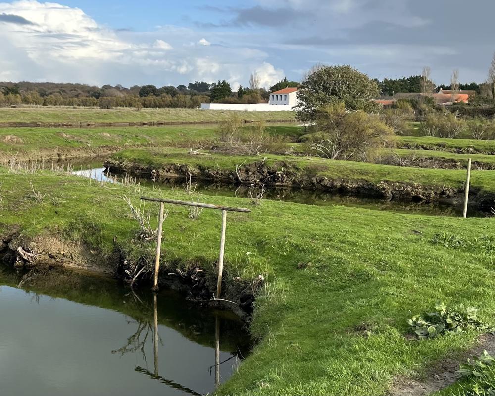 Vente Terrain Terrain L ile d olonne