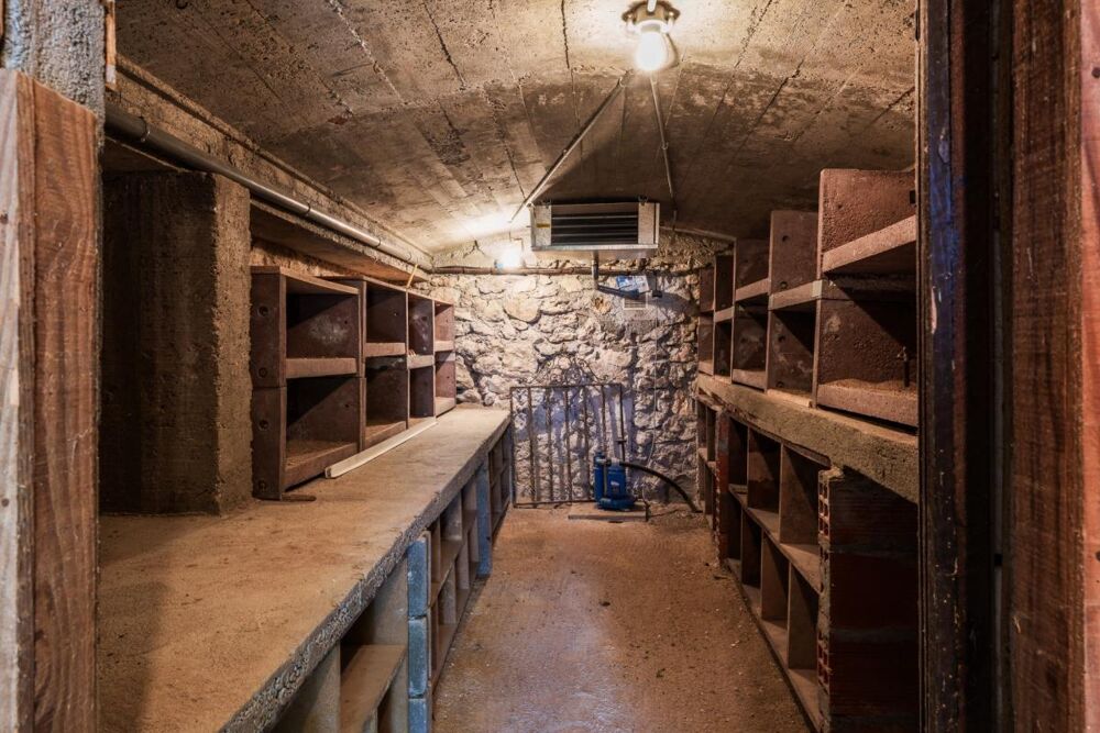 à vendre  Propriété/château Fondettes (37230)