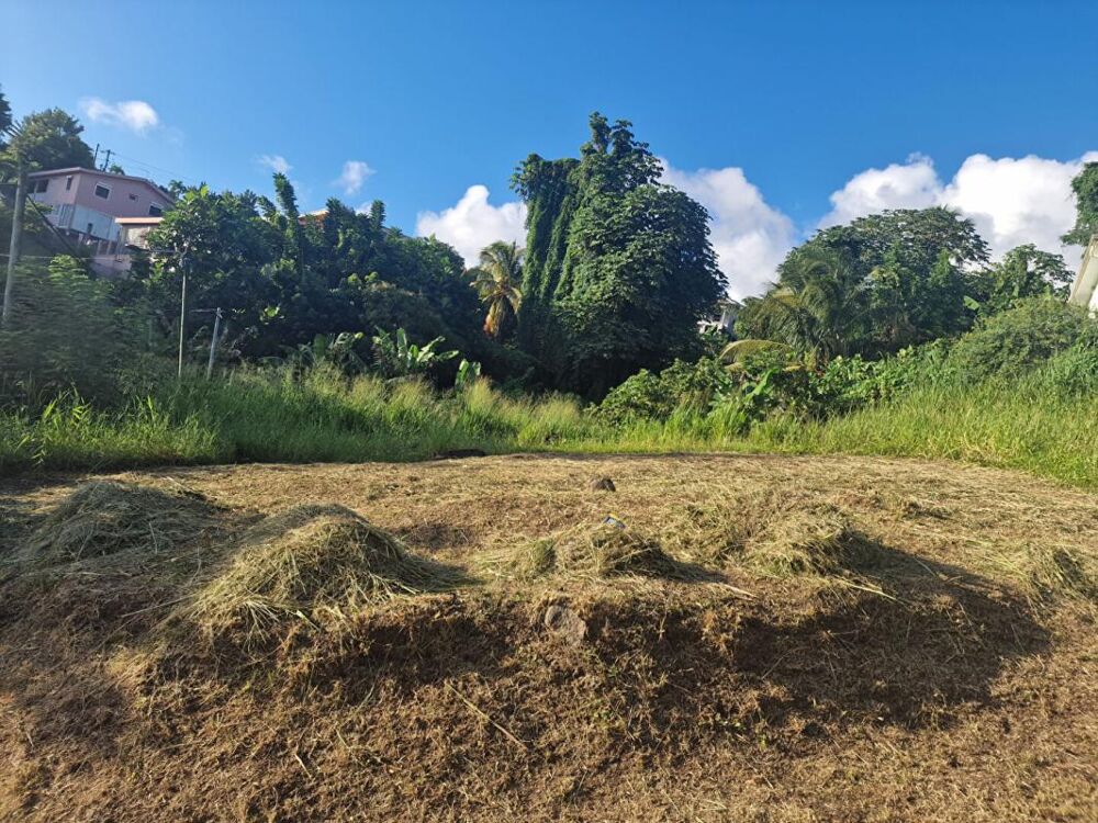 Vente Terrain Terrain-Schoelcher-Terreville Schoelcher