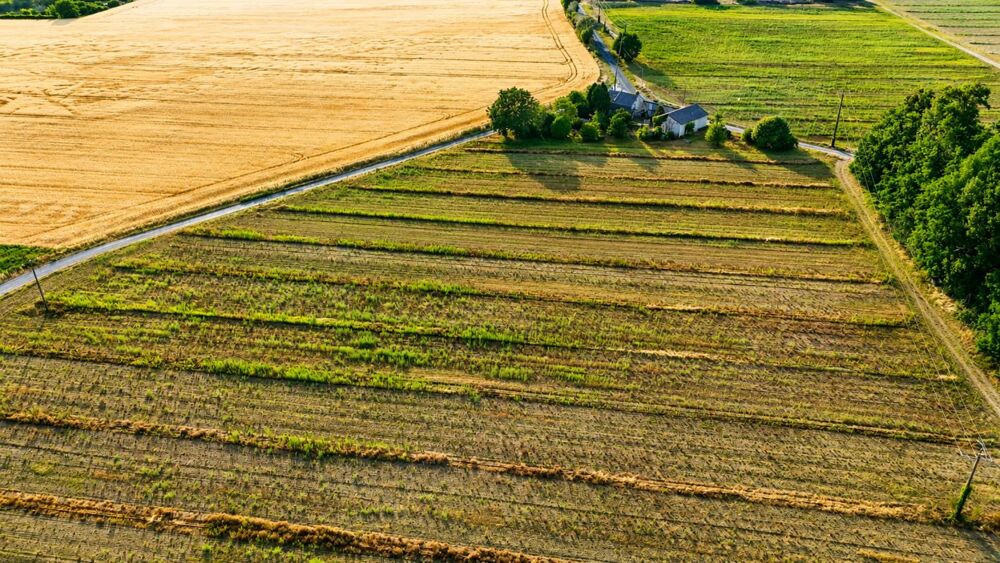 Vente Maison Longère Saumur