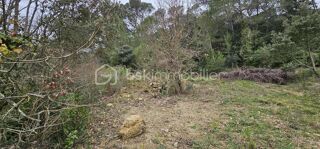  Terrain à vendre 7256 m²