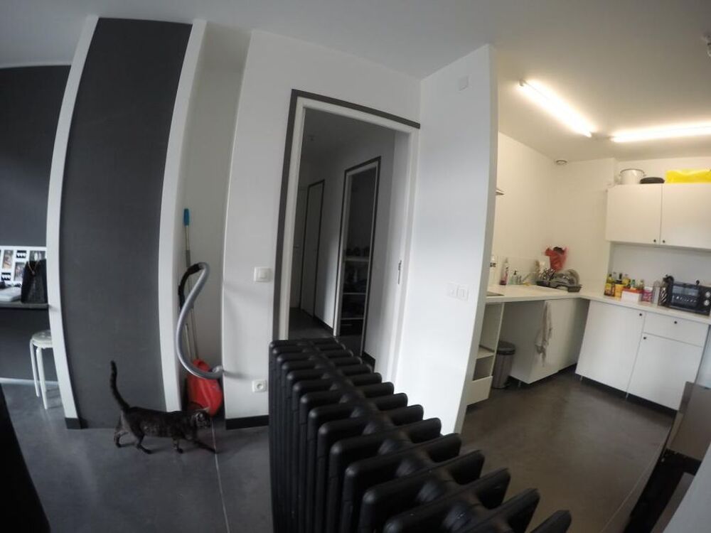 Location Appartement Appartement de 54m2 à louer sur Roubaix Roubaix