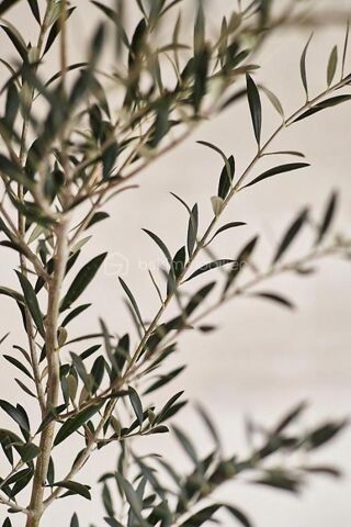  Terrain � vendre 775 m�